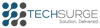 Techsurge Africa Logo