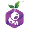 Blackcurrant Labs Pvt. Ltd. Logo