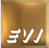 Executive Visions Inc Logo