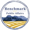 Benchmark Public Affairs Logo