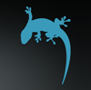 Novagecko Logo