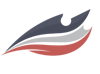 Digital Osprey LLC Logo