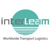 Interteam, S.A. de C.V. Logo