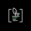 DevPlant Logo