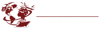 Panama Soluciones Logisticas Logo