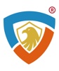 CyberSafeHaven Consulting Logo