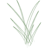 Sawgrass Marketing Logo