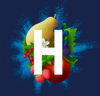 Steve Hansen Visuals Logo