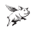 Darwin Brand Consultants Logo