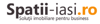 Spatii-Iasi.ro Logo