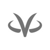 VirtualZ Computing Logo
