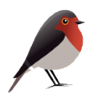 Robin GmbH Logo