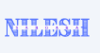 Nilesh Sargara Logo