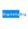 Creative Digital Marketing Agency Delhi | Digitally Big Logo