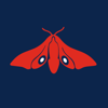 Red Moth Web Design Logo