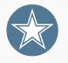 Brightstar Software Logo