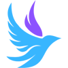 Soaring Consultancy Logo