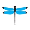 Dragonfly Digital Marketing Logo