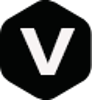 Vishal - Digital Marketing Consultant Bidar Logo