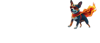 Zunderdog Logo