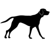 Hunter Digital Marketing Logo