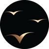 Highflyer Logo