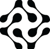 Satius Security Logo