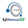 Qualfon Logo