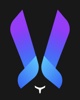 VZ Agency Logo