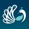 Peacock Studios Logo
