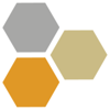 Websoluto Logo
