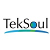 𝗪𝗶𝗹𝗲𝘆 𝗪𝗼𝗿𝗸𝗲𝗿𝘀 𝗟𝗟𝗖 (𝗧𝗲𝗸𝗦𝗼𝘂𝗹) Logo