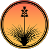 SoapTree Media Logo