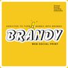 Brandy Inc Logo