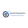 SEO Limerick Logo