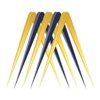 MetaSense Marketing Logo