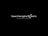 Search Engine Experts Pty Ltd Logo