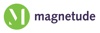 Magnetude Consulting Logo