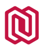 NoSoloSoftware Logo