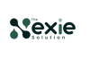 The Nexie Solutions Logo