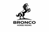 Bronco Horse Riding of Jackson Hole Logo