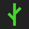 Bough Studio Logo