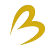 Bless Tech Solutions Pvt. Ltd. Logo