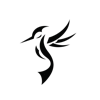 Kalibri Studios Logo