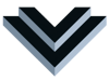 VeraSync Digital Studio Logo