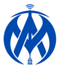 Mass IT Pro Solution Logo