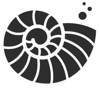 Ammonite Services Limited Logo