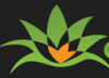 Agave Information Soultions, LLC Logo