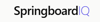 Springboard IQ Logo