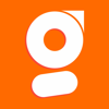 GTMFlex Logo
